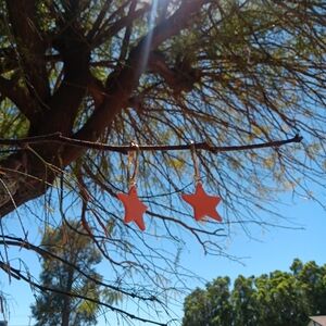 ⭐️Handmade Clay Earrings ⭐️